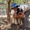 Animal Aid 1